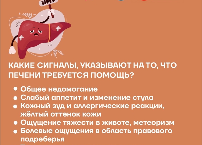 Неделя профилактики заболеваний печени